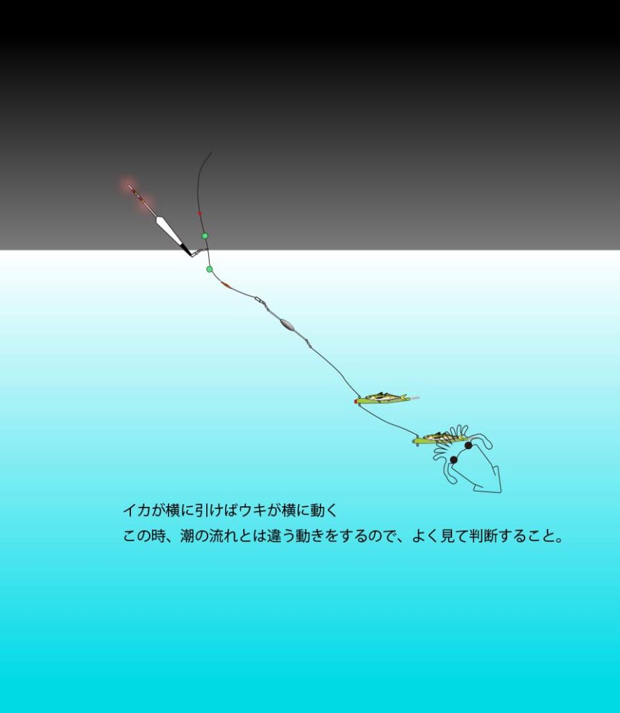シリヤケイカ おすすめ仕掛け 千葉 釣果係