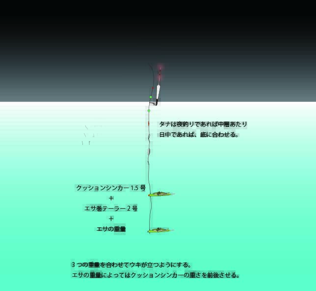 シリヤケイカ おすすめ仕掛け 千葉 釣果係